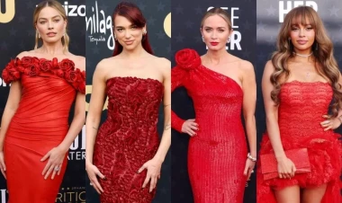 Məşhurlar mükafat gecəsinə belə gəldilər - FOTOlar