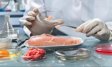 Alimlər elektron dequstator hazırladılar