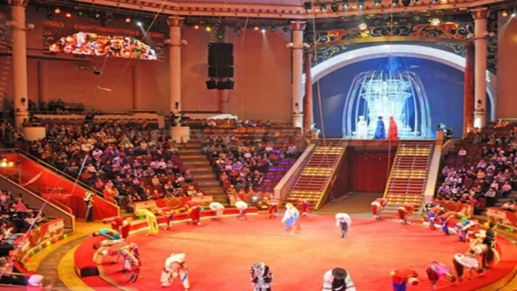 Bakı Dövlət Sirkinin fəaliyyəti nə vaxt bərpa ediləcək? - VİDEO