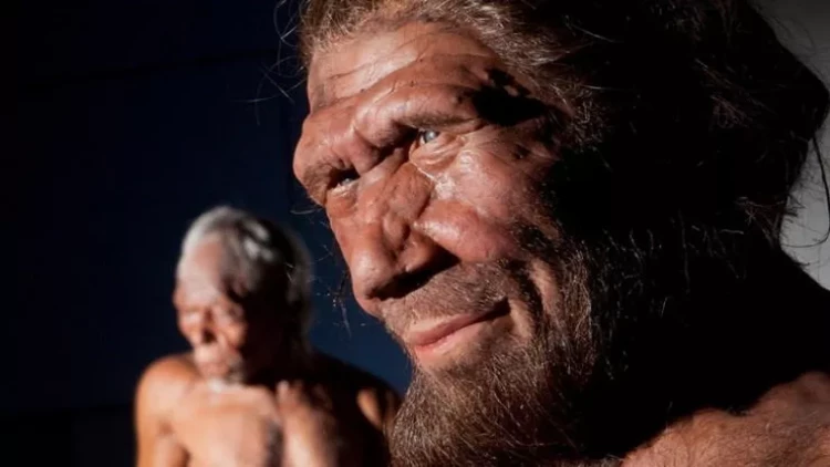 Neandertal insanın genlərini daşıyırsınız? - ALTI ƏLAMƏT
