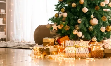 VAU-effektli 10 Yeni İl hədiyyəsi - FOTOlar