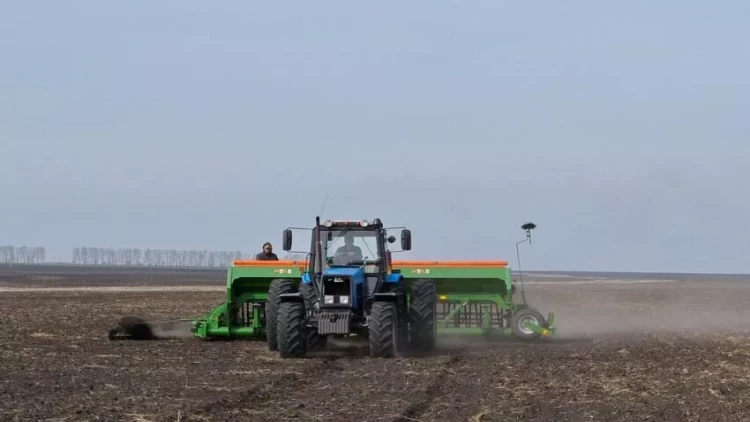 Azərbaycanda torpaq qanunvericiliyi niyə pozulur?