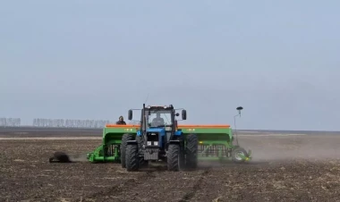 Azərbaycanda torpaq qanunvericiliyi niyə pozulur?