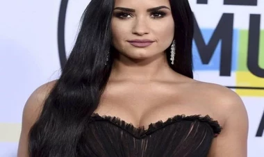 Demi Lovato ailə qurur - FOTOlar