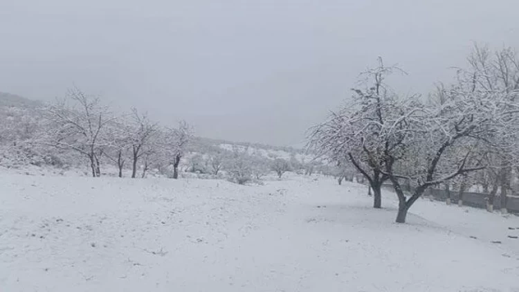 Bu rayonlara qar yağır - FOTO