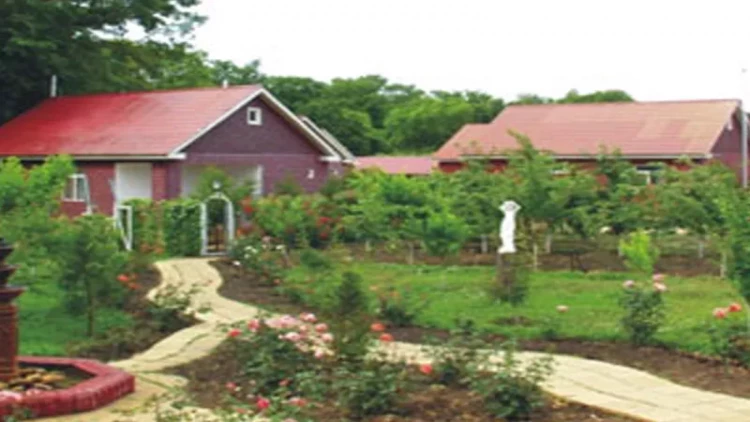 Azərbaycanda istirahət mərkəzində QAN DÜŞDÜ