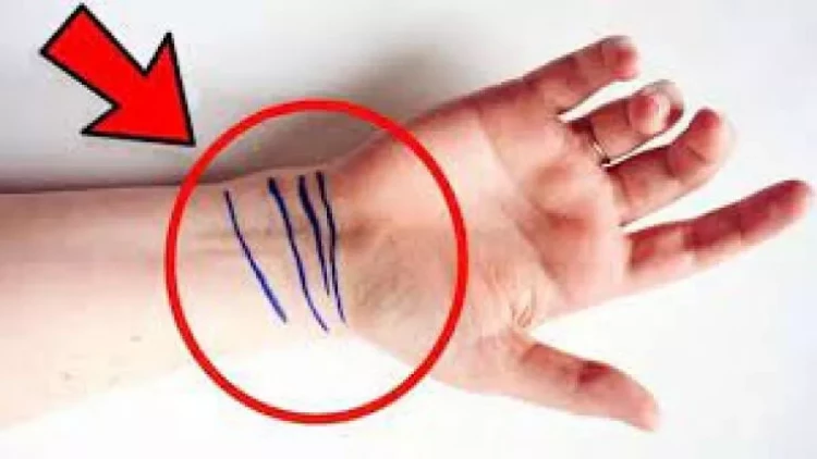 Biləyimizdəki xətlərin mənası – Gələcəyini görmək istəyənlərin NƏZƏRİNƏ