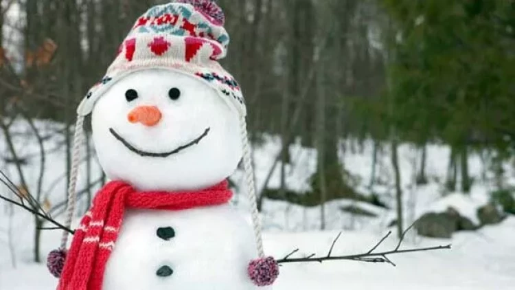 Qar adamını oğurladı - həbs edildi