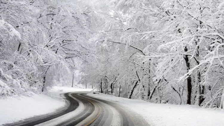 Bu ərazimizə 5 sm qar yağdı - Faktiki hava