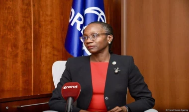 Dünya Bankı Azərbaycana dekarbonizasiya prosesində köməklik göstərməyə hazırdır - Roland Prays