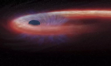 İnsan bu kainatda tək deyil