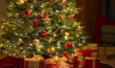 Yeni ildə 7 gün iş olmayacaq