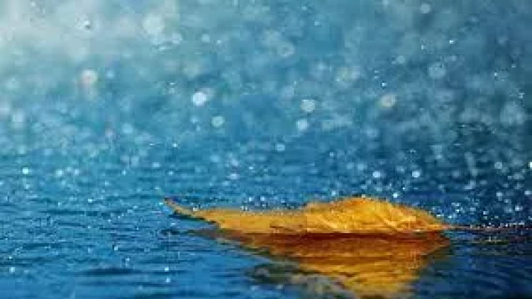 Bu gün yağış yağacaq, külək əsəcək - PROQNOZ