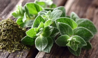 Limondan 100 dəfə güclü və faydalı - Bütün mikrobları öldürür