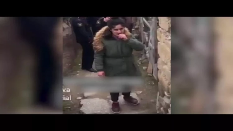 Siyəzəndə pişiklərə işgəncə verdiyi iddia olunan qadının evindən oğurluq edilib? - VİDEO