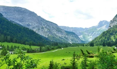 Meyvə yığmaq üçün dağa getdi, meyiti tapıldı - Qəbələdə müəmmalı ölüm