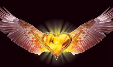 Daşlaşmış, paslanmış, nifaqlı, təəssübkeş ürəklər: bunlardan necə qurtulmaq?