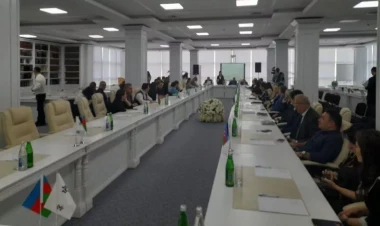 Vəfa İsmayılova saytlarda türkcə yazanlardan danışdı