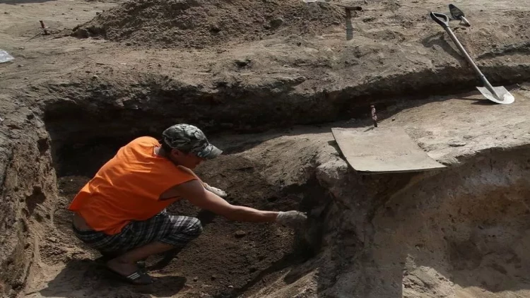 Yaşı 2,5 milyon il olan dəvə kəllə sümüyü tapıldı