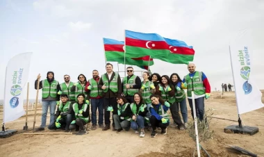 P&G Azərbaycanda fəaliyyətinin ildönümü münasibətilə 25000 ağac əkir - FOTO