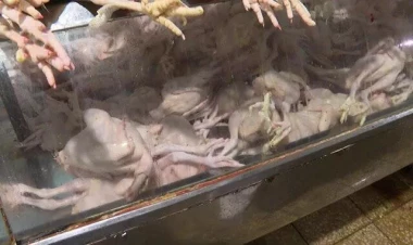 Bəzi məhsulların Azərbaycana idxalı qadağan ediləcək -  VİDEO