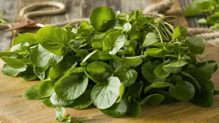 Dünyanın ən sağlam tərəvəzi seçildi