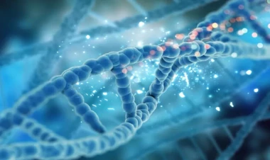 Qan xərçənginin müalicəsi üçün yeni üsul tapıldı