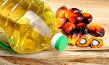 Palma yağının orqanizmimizə vurduğu ziyanlar