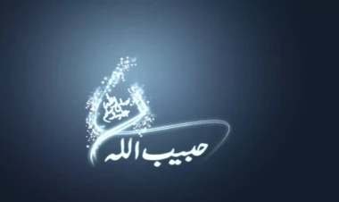 Əgər O istəsəydi, sizin hamınızı doğru yola yönəldərdi