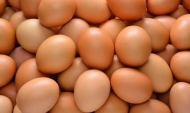 Hər gün yumurta yeməyin zərərləri