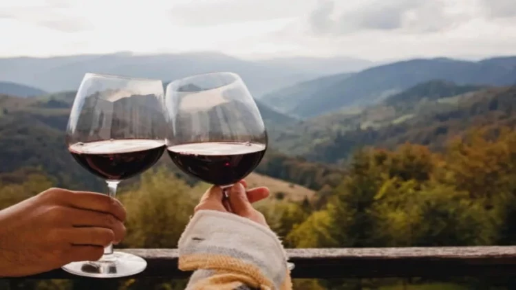 Hansı ölkələrdə daha çox spirtli içki içilir - SİYAHI