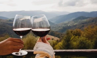 Hansı ölkələrdə daha çox spirtli içki içilir - SİYAHI