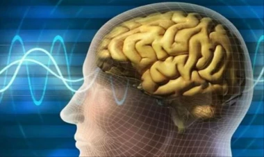 Bu idman növü yaddaşı yaxşılaşdırır