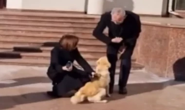 Maya Sandunun iti Avstriya Prezidentini dişlədi - VİDEO