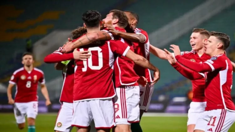 AVRO-2024: Slovakiya final mərhələsində