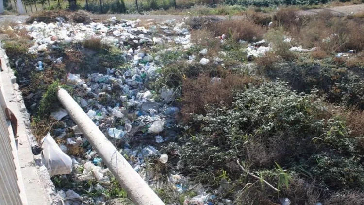 Bu rayonlarda bələdiyyə sədrləri cərimələndi