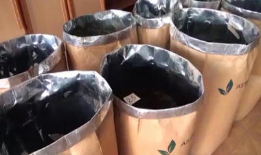 Lənkəranda kilosu 400 manata yerli çay satılır - VİDEO