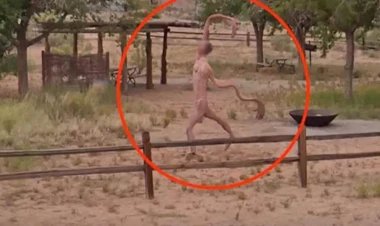 Küçədə gəzən bu qəribə məxluq görənləri qorxutdu - FOTO