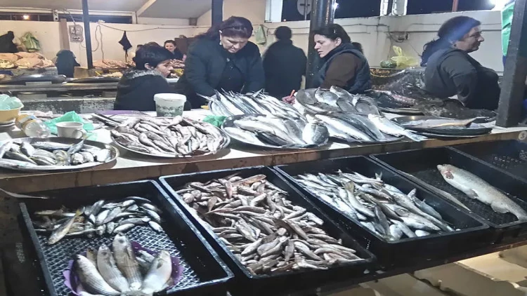 Balıq bazarında nə baş verir? - SON QİYMƏTLƏR - VİDEO