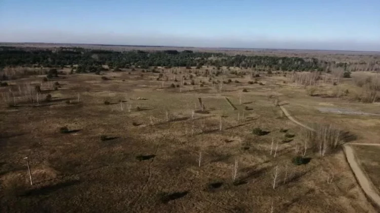 Alimlərdən 2024-cü illə bağlı iqlim XƏBƏRDARLIĞI: Bizi nə gözləyir?