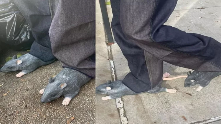 Məşhur dizayner siçovullardan AYAQQABI HAZIRLATDI