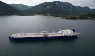 Gəminin göyərtəsində vaşaq peyda olub - FOTO