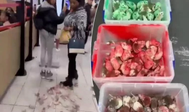 “McDonald’s”a Fələstin bayrağı rəngində siçanlar buraxıldı - VİDEO