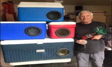 Gördüyü işlə sosial şəbəkələrdə alqış qazandı - FOTO