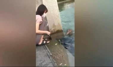 Balıq yemləmək istəyən qızın başına gəlməyən qalmadı - VİDEO