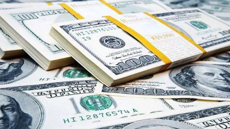 Dollar niyə limitlə satılır? - Mərkəzi Bank sədri AÇIQLADI