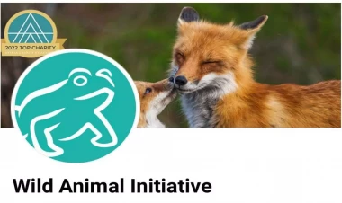 “Minalardan zərər görən heyvanlara yardım niyyəti təqdirəlayiqdir” - FOTO