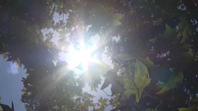 Keçid hava şəraiti nə vaxta qədər DAVAM EDƏCƏK? - VİDEO