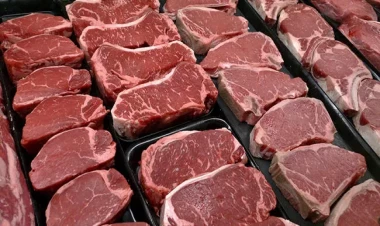 Ətlə bağlı mifə son - Alimlər elmi sübutları TƏKZİB ETDİ