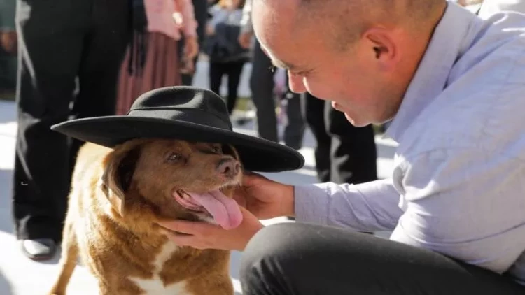 Dünyanın ən yaşlı iti öldü - FOTO